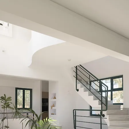 Villa Olivetum